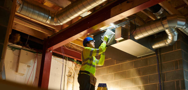 Best Air Duct Mold Removal  in Wedgefield, SC