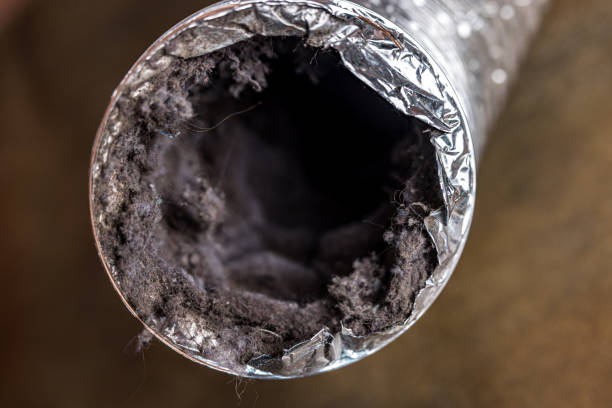 Best Local Air Duct Cleaning Services  in Wedgefield, SC